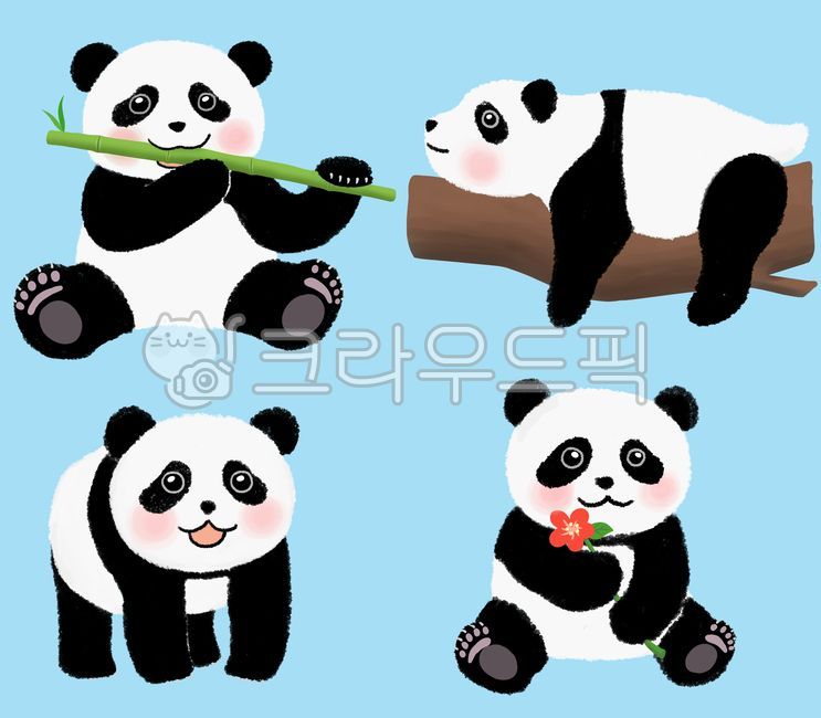 아기판다, 판다, 아기판다표정, 얼굴, panda, 사진,이미지,일러스트,캘리그라피 - Geami작가