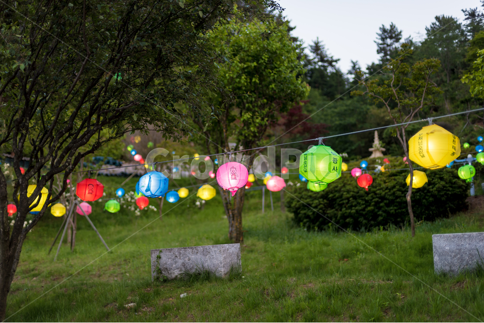 연등,야경,사찰,부처님오신날,불교,풍경,야경,밤,풍경,nightscape,night,landscape,한국전통,한국문화,korean traditional,korean culture,종교,신앙,religion,belief,faith,축제,행사,festival,carnival,event,기념일,축하,anniversary,congratulation,celebrate,celebration