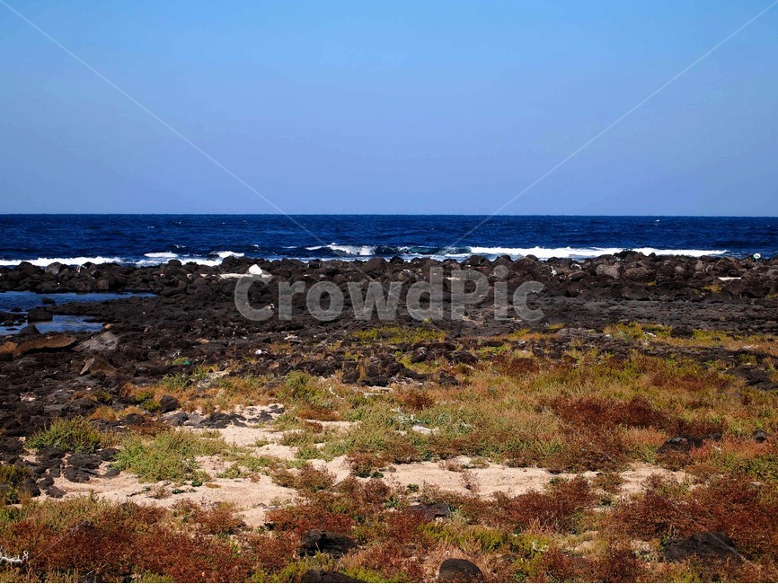 바다,제주도,우도,해안,풍경,자연,풍경,nature,landscape,한국자연풍경,한국자연경관,korea nature landscape,제주도,jeju,jeju island,outdoors,옥외,land,땅,ground,바닥,plateau,고원