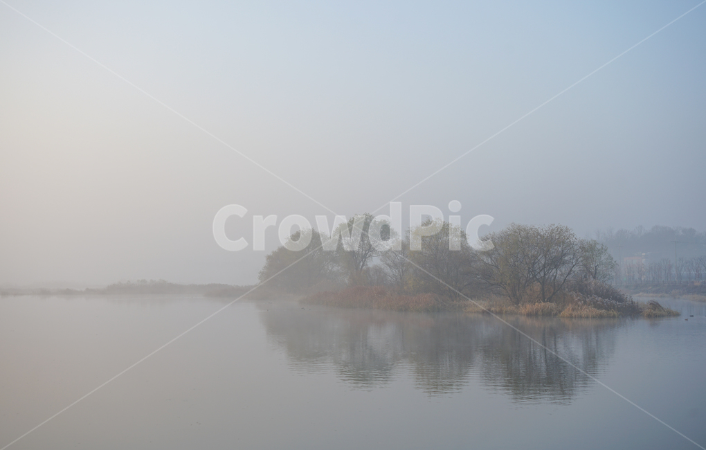 호수,안개,여명,새벽,자연,풍경,물안개,자연,풍경,nature,landscape,weather,날씨,outdoors,옥외