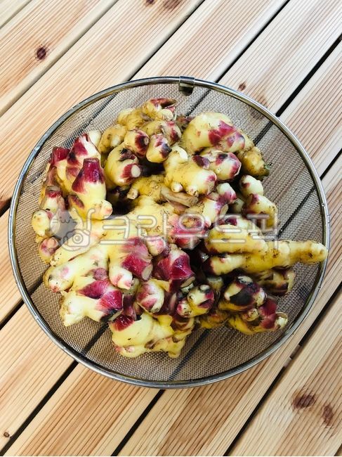 생강,안동생강,국산생강,흙생강,햇생강,싱싱한,신선한,식자재,식재료,자연,Ginger,AndongGinger,DomesticGinger,SoilGinger,FreshGinger,Fresh,FoodIngredients,Ingredients,Nature
