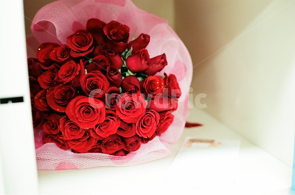 꽃,장미꽃,꽃다발,자연,선물,빨간장미,성년의날,꽃,flower,기념일,축하,anniversary,congratulation,celebrate,celebration