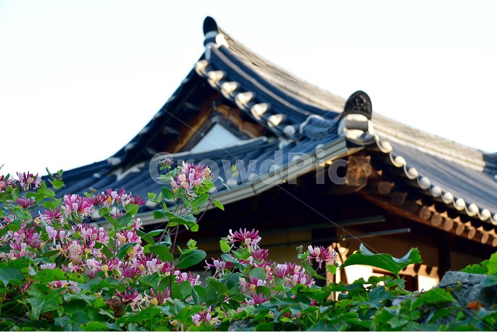 외암,민속,마을,풍경,힐링,기와,붉은인동,한국전통,한국문화,korean traditional,korean culture,건축물,건물외관,exterior,building,structure,architecture,construction