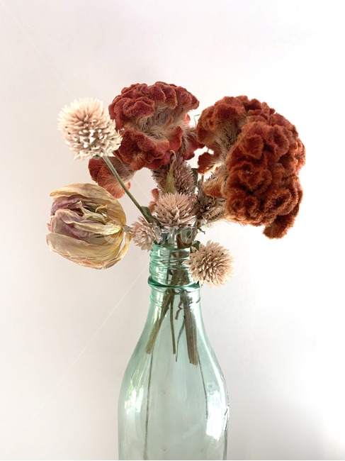 plant,식물,flower,꽃,장식,ornament,glass,bottle,유리병,드라이플라워,driedflower,꽃꽂이,flowerarrangement