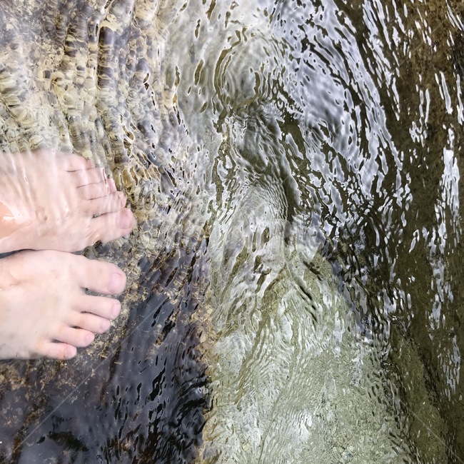 계곡,물,발,물속발,깨끗한,여름,계절,summer,season