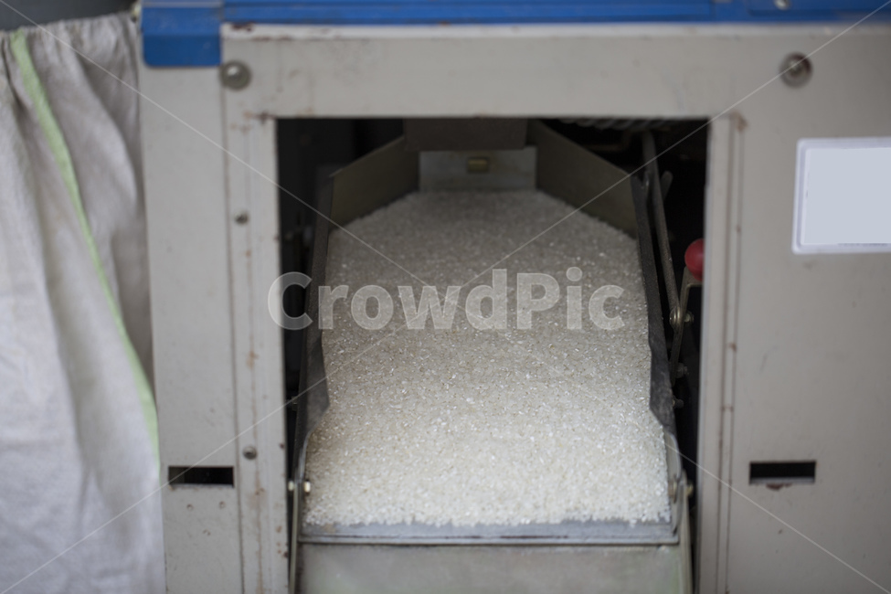 쌀,곡식,도정,가공,정미기,정미소,기계,음식,식재료,요리,food,cook,meal,dishes,food reserves,곡류,곡식,cereals