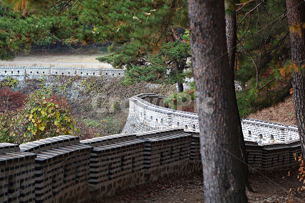 남한산성,성곽,성,단풍,낙엽,길,둘레길,숲,숲길,담,돌담,가을,자연,풍경,벽,울긋불긋,산성,식물,가을,계절,fall,autumn,season,한국전통,한국문화,korean traditional,korean culture,tree,나무,plant,tree trunk,나무 줄기