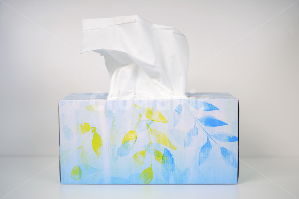 종이,휴지,papertowel,paper,towel,수건,종이타월