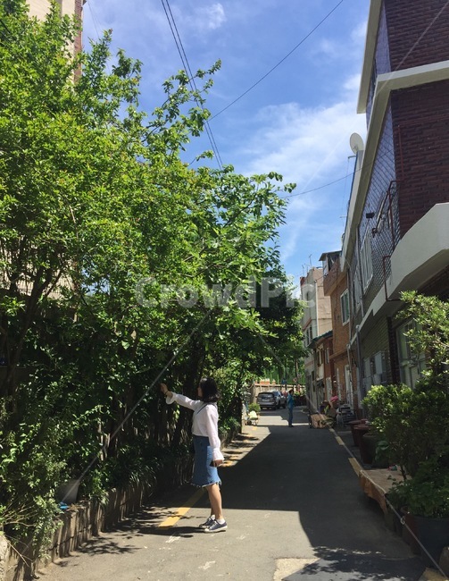 person,사람,인간,human,clothing,의류,여자,나무,tree,사람,인물,인간,human,person,여성,여자,woman,female,lady