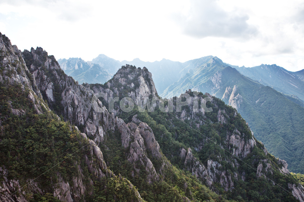 산,바위,정상,풍경,자연,가을,설악산,mountain,landscape,a​utumn,자연,풍경,nature,landscape,한국자연풍경,한국자연경관,korea nature landscape,plant,식물,tree,나무,mountain range,산맥,outdoors,옥외,abies,아비,fir,전나무