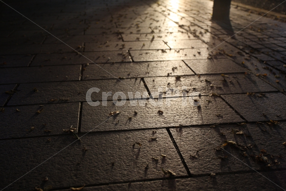 way,길,야경,낙엽,산책,road,야경,밤,풍경,nightscape,night,landscape,path,통로,walkway,보도