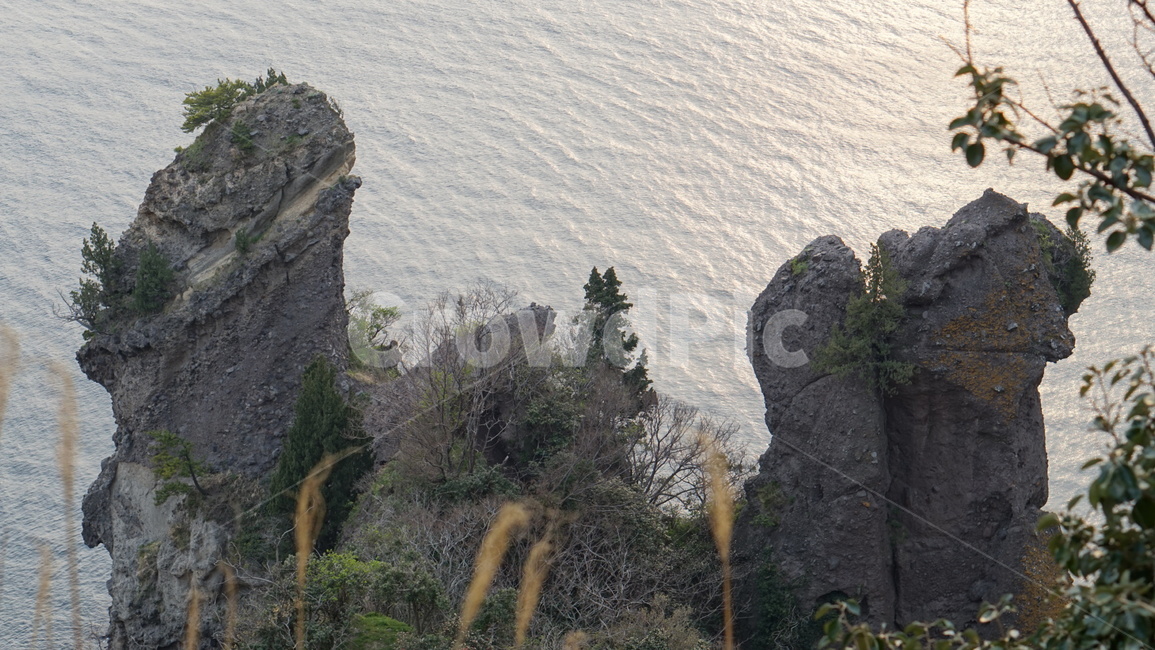 남근,바위,남근바위,nature,자연,outdoors,옥외,tree,나무,plant,식물,울릉도