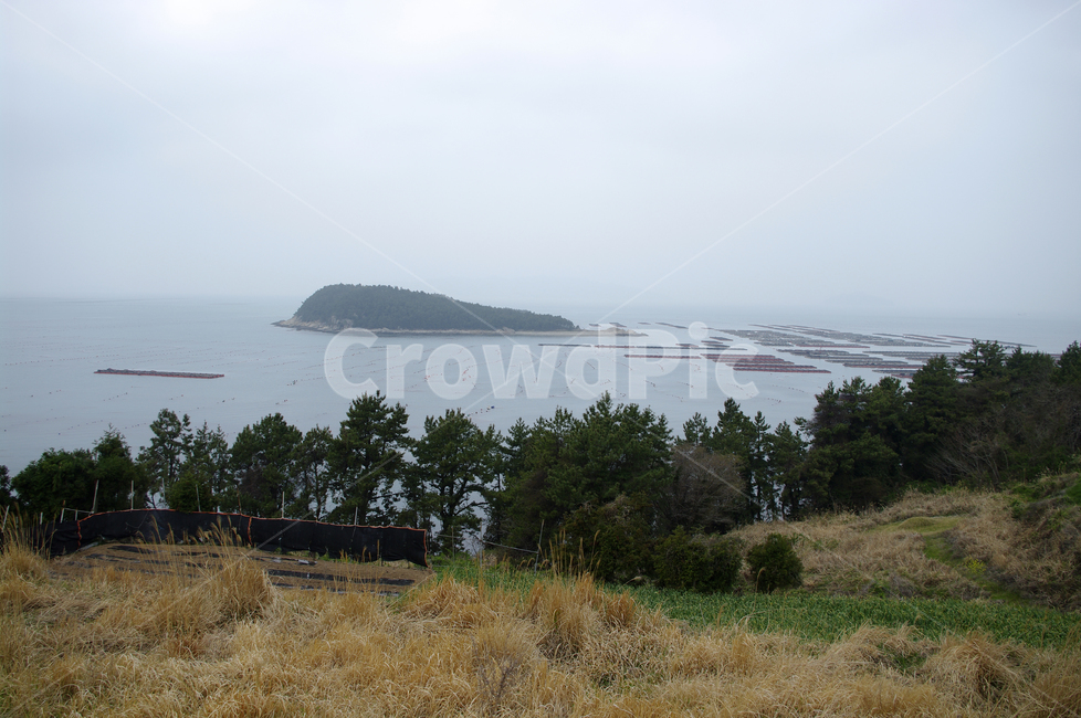 풍경,나무,소나무,식물,plant,자연,nature,섬,바다,자연,풍경,nature,landscape,land,땅,outdoors,옥외,shoreline,해안선,water,물,sea,ocean,대양,coast,연안