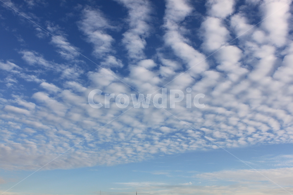 구름,양떼구름,하늘,가을하늘,흐림,푸른하늘,파란하늘,sky,cloud,자연,풍경,nature,landscape,outdoors,옥외,azure sky,푸른 하늘