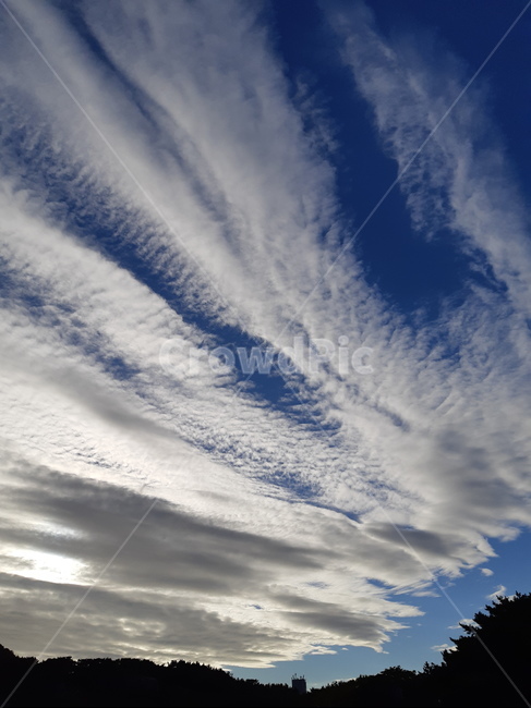 nature,자연,outdoors,옥외,sky,구름,cloud,날씨,weather,하늘,긴구름,역광