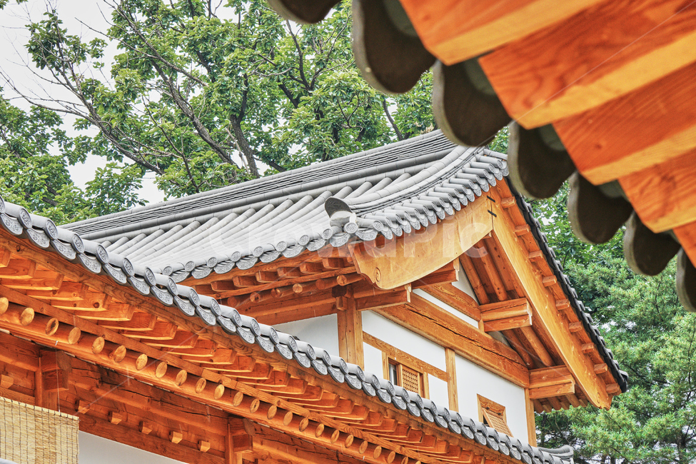 불교,사찰,템플,절,종교,기와,한국전통,봉은사,한국전통,한국문화,korean traditional,korean culture,건축물,건물외관,exterior,building,structure,architecture,construction