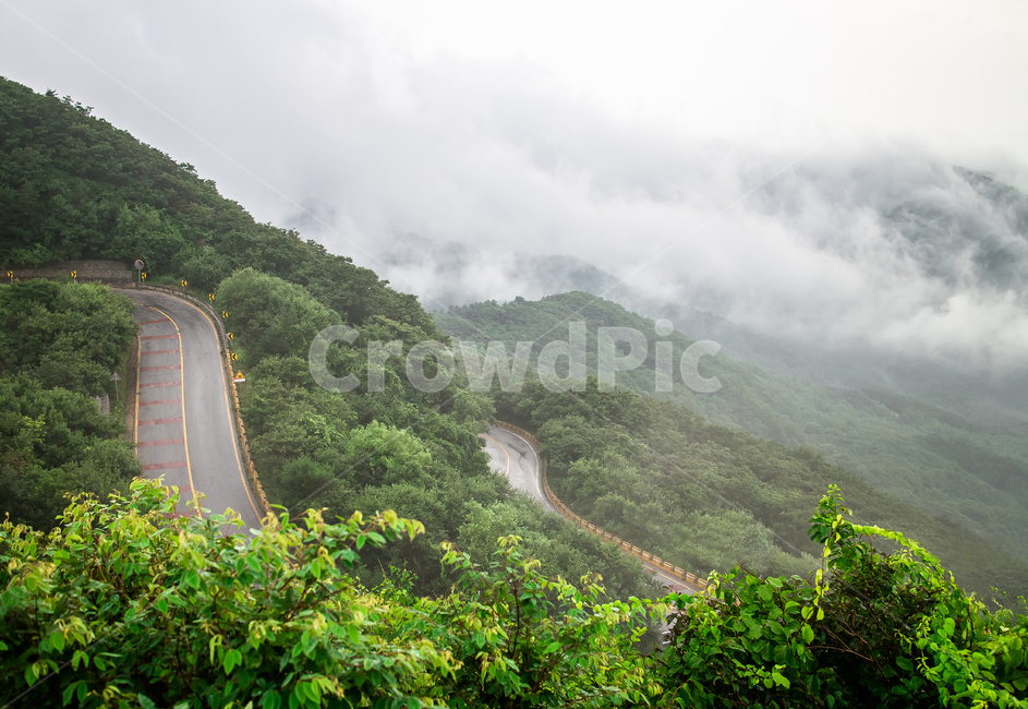 지리산,여름산,안개,등산,산꼭대기,산,물안개,웅장한,푸르른,고산지대,전북,비온뒤,예쁜산
