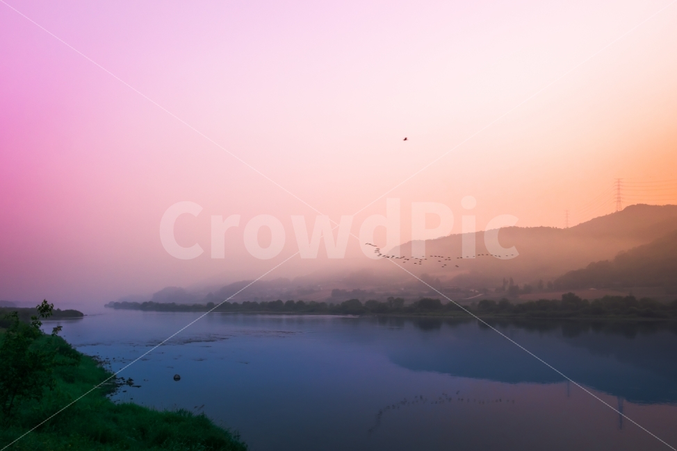 새벽,한강,새,무리,철새,일출,하늘,자연,풍경,nature,landscape,감성,sensible,feeling,색깔,색상,색채,색감,color sense,color sensitivity,feeling of color,weather,날씨,outdoors,옥외