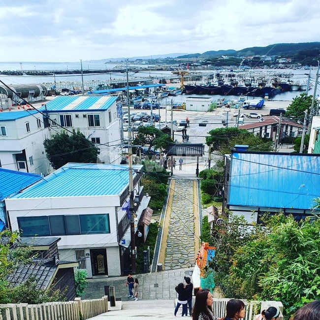 메밀꽃필무렵,근대화거리,포항,일본,가옥