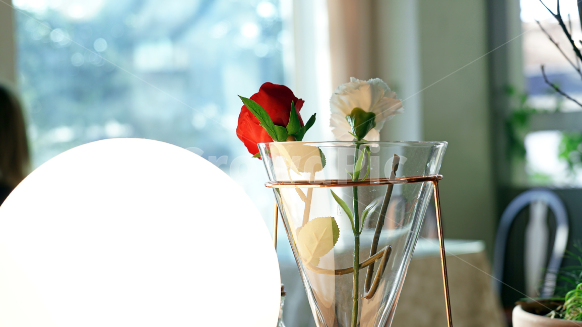 cafe,interior,vase,glass,flower,window,sunshine,beauty,까페,인테리어,꽃병,조명,유리,꽃,flower,실내용화초,화분,화초,house plant,인테리어,실내디자인,interior design