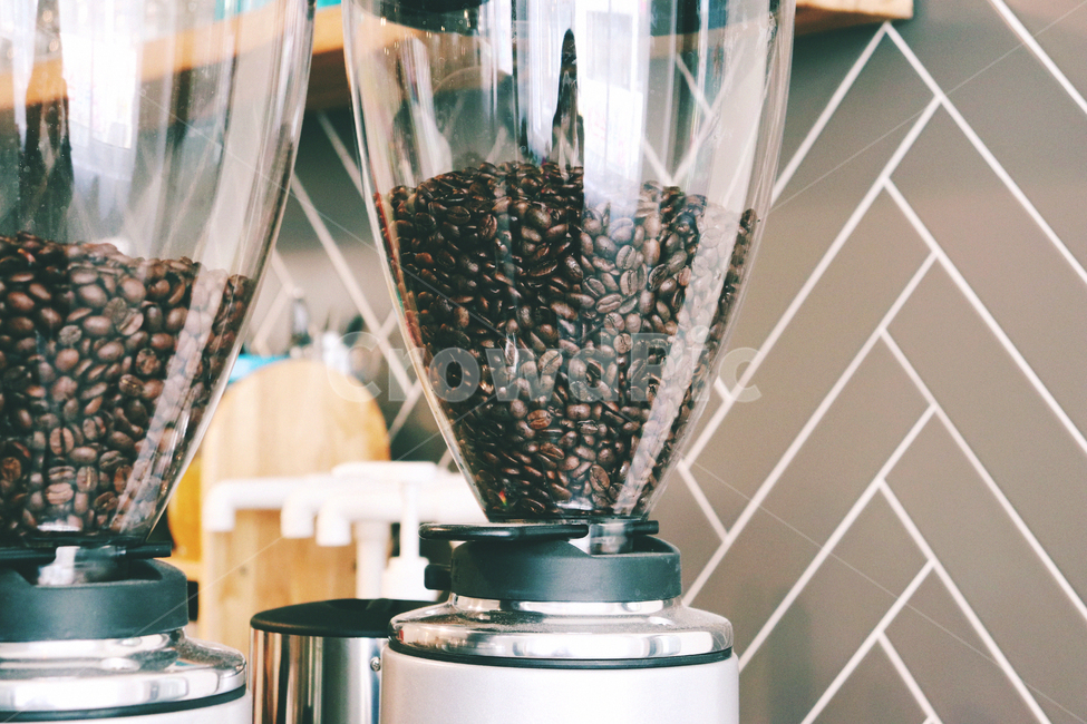 커피,원두,coffee,커피콩,커피원두,coffeebeans,커피,카페,coffee,cafe,감성,sensible,feeling