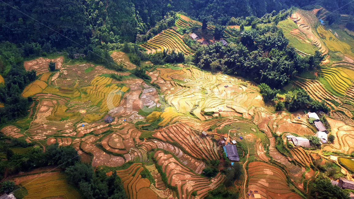landscape,경치,outdoors,옥외,nature,자연,scenery,풍경,aerialview,조감도,사파,계단식논,판시판,sapa,항공뷰,케이블카뷰