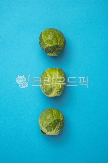 방울양배추,미니양배추,양배추,채소,야채,신선,음식,식재료,음식재료,식품,신선식품,유기농