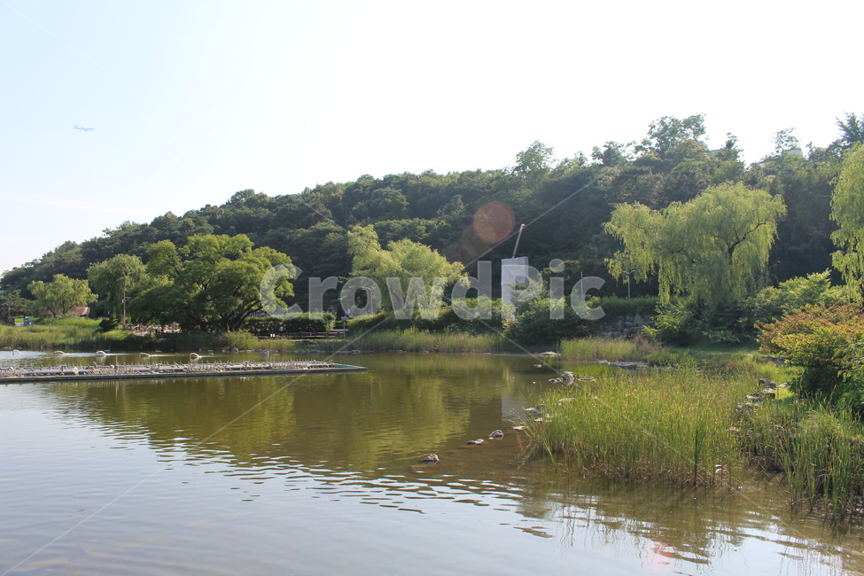 호수,산,강,여름,공원,자연,풍경,nature,landscape,water,물,outdoors,옥외
