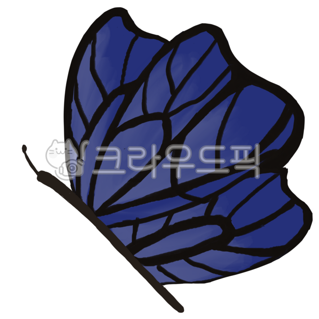 Butterfly,butterfly drawing,butterfly illustration,blue butterfly,butterfly