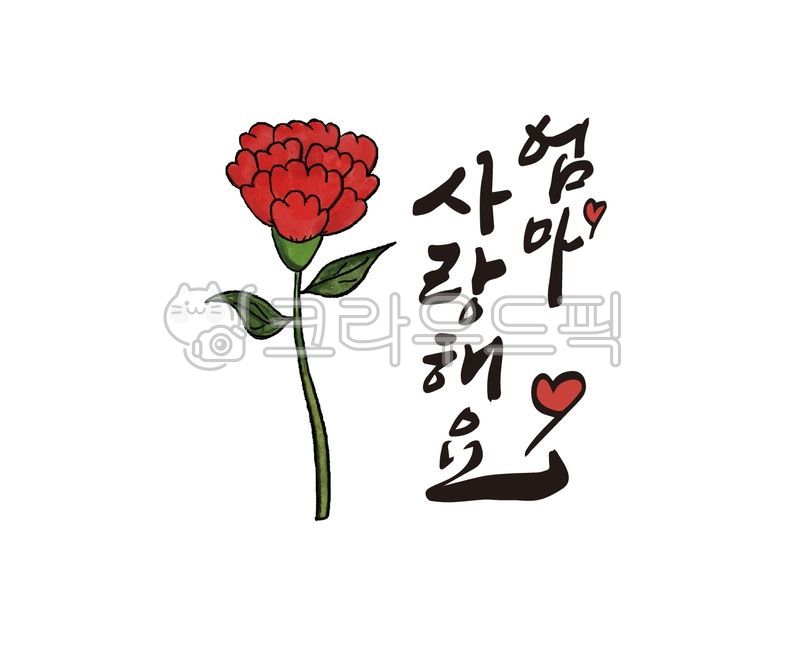 어버이날,부모님,카네이션,어머니,아버지,엄마,아빠,가정의달,용돈,용돈봉투,꽃바구니,선물,감사선물,감사메시지,디자인,디자인소스,캘리,캘리그라피,손글씨,붓글씨,카내이션,캘리그라피,손글씨,calligraphy