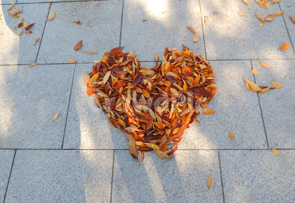 사랑,love,하트,커플,낙엽,가을,길,단풍,그림자,잎,연인,heart,couple