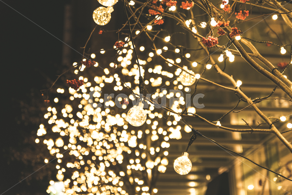 야경,몽환적,크리스마스,보케,겨울,조명,전구,led,겨울야경,도시야경,도시,꿈같은,아련,바탕화면,꿈,야경,밤,풍경,nightscape,night,landscape,감성,sensible,feeling,lighting,light,빛