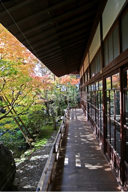 교토,kyoto,아라시야마,arashiyama,kyotocity,해외,외국,세계,foreign,oversea,world,건축물,건물외관,exterior,building,structure,architecture,construction