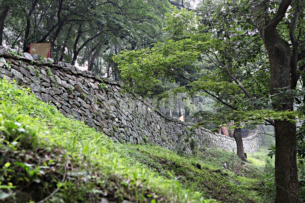 공주산성,산성,성,성곽,길,둘레길,숲,숲길,안개,담,돌담,여름,풍경,흙담,나무,식물,유네스코등제