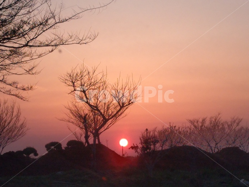 태안석양,석양,일몰,노을,붉은하늘,붉은노을,sunset,겨울가지,그라데이션