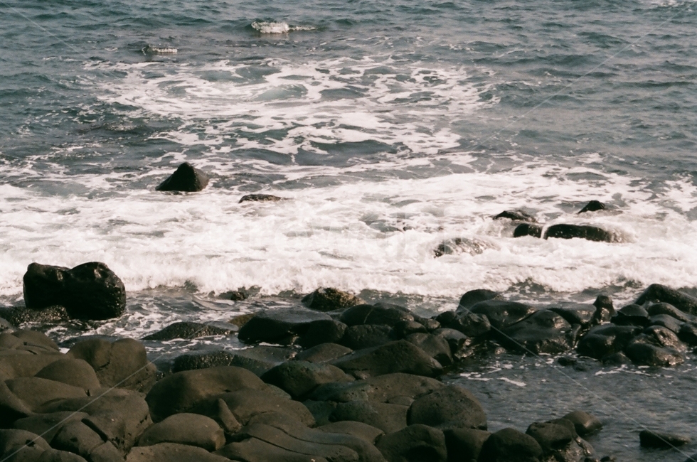 제주도,바다,필름카메라,파도,바닷가,자연,풍경,nature,landscape,한국자연풍경,한국자연경관,korea nature landscape,제주도,jeju,jeju island,ocean,대양,sea,outdoors,옥외,water,물