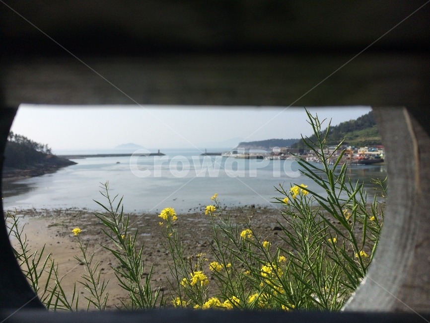 청산도,완도,슬로시티,섬,봄,풍경,바다,틈새