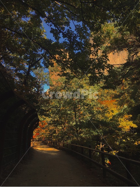 가을,산,산행,단풍,자연,autumn,mountain,hiking,maple,nature,자연,풍경,nature,landscape