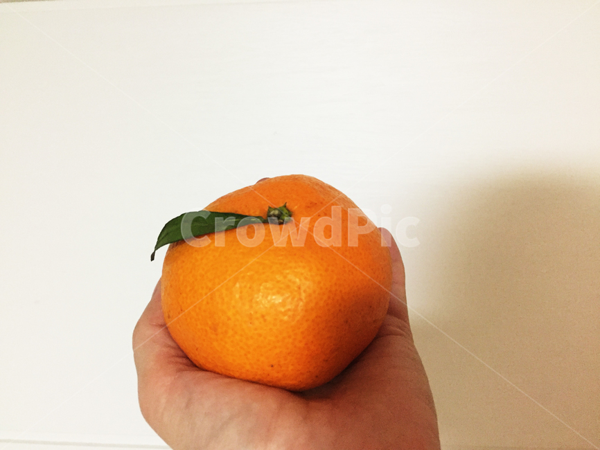 귤,과일,겨울과일,음식,건강,비타민,음식,식재료,요리,food,cook,meal,dishes,food reserves,과일,열매,fruit