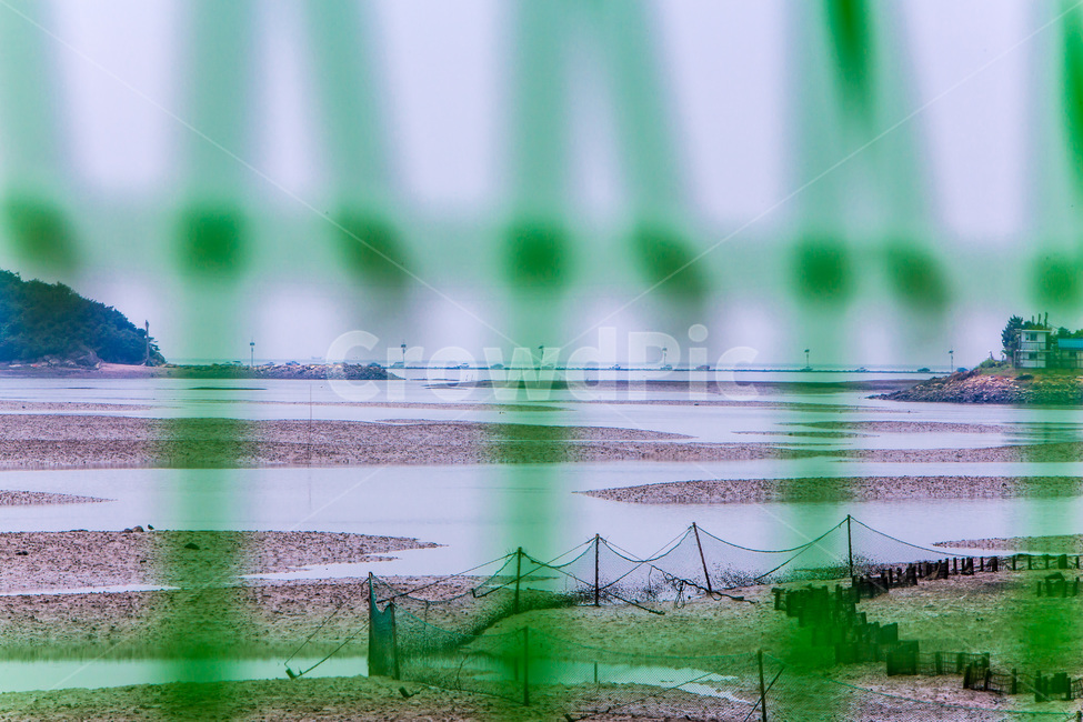 갯벌,갈매기,자연,환경,풍경,썰물,자연,풍경,nature,landscape,한국자연풍경,한국자연경관,korea nature landscape