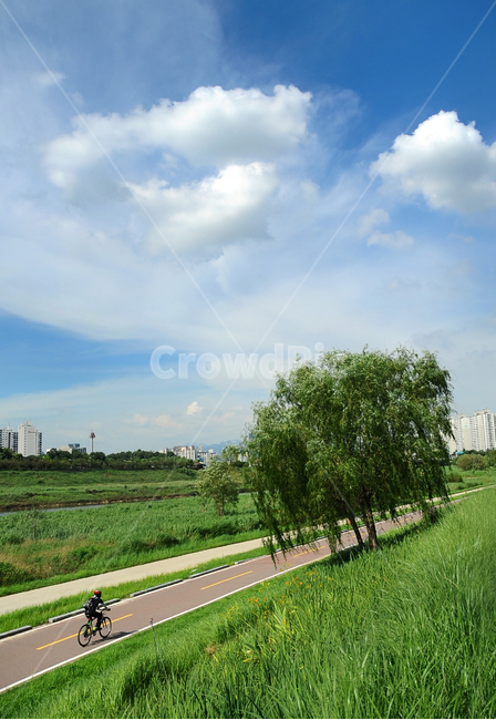 여름,산책,자전거,여유,한가로움,자연,풍경,nature,landscape,grass,잔디,plant,식물,bike,transportation,교통,bicycle,vehicle,차량