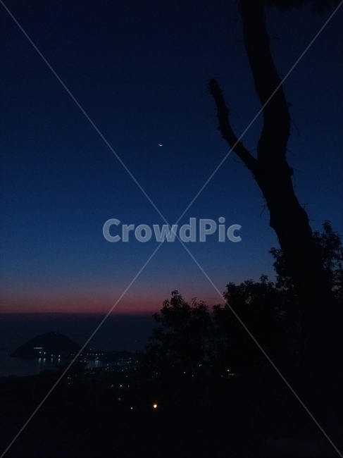 밤,하늘,나무,달,밤과달,야경,밤,풍경,nightscape,night,landscape,nature,자연,outdoors,옥외