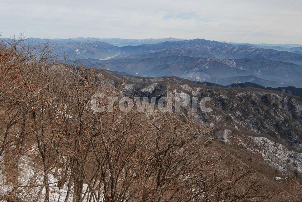 wind noise,beauty,ecosystem,greatness of nature,scenery,trees,life,mountain climbing,Korean beauty,healing,mountain,Korea Mountain climbing,Chiaksan Mountain,season,land,ridge,leisure,mysterious mountain,Korea,sky,picturesque mountain,nature,famous Korean