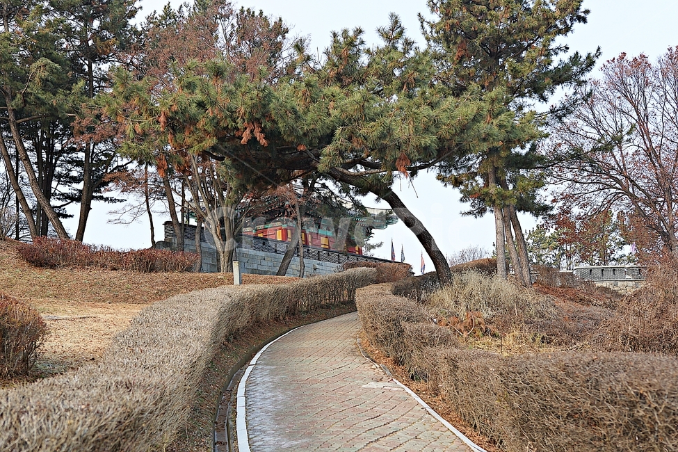 광성보,손돌매돈대,진,성곽,담,돌담,겨울,자연,식물