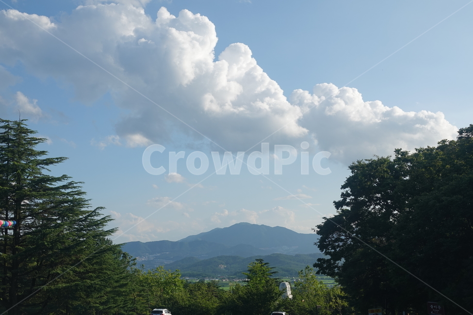 nature,자연,outdoors,옥외,plant,나무,tree,날씨,weather,식물