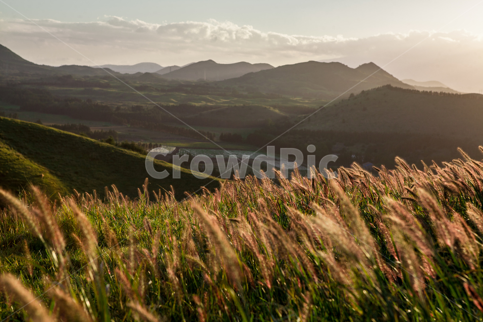오름,수크렁,산,가을,노을,가을,계절,fall,autumn,season,자연,풍경,nature,landscape,grass,잔디,plant,식물,outdoors,옥외,mountain,mountain range,산맥