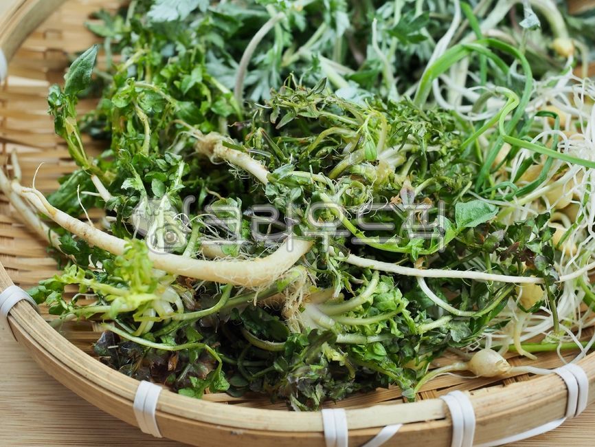 wellnessfood,foodingredients,rootvegetable,vegetable,springherb,spring greens,herbs,spring,Wellbeing food,root,Food Ingredients,herb,vegetariandiet,Herbs,root plant,green,vegetarian diet,Soothe,leaf,shepherds purse,food,Herb,Mugwort,root vegetables,plant,