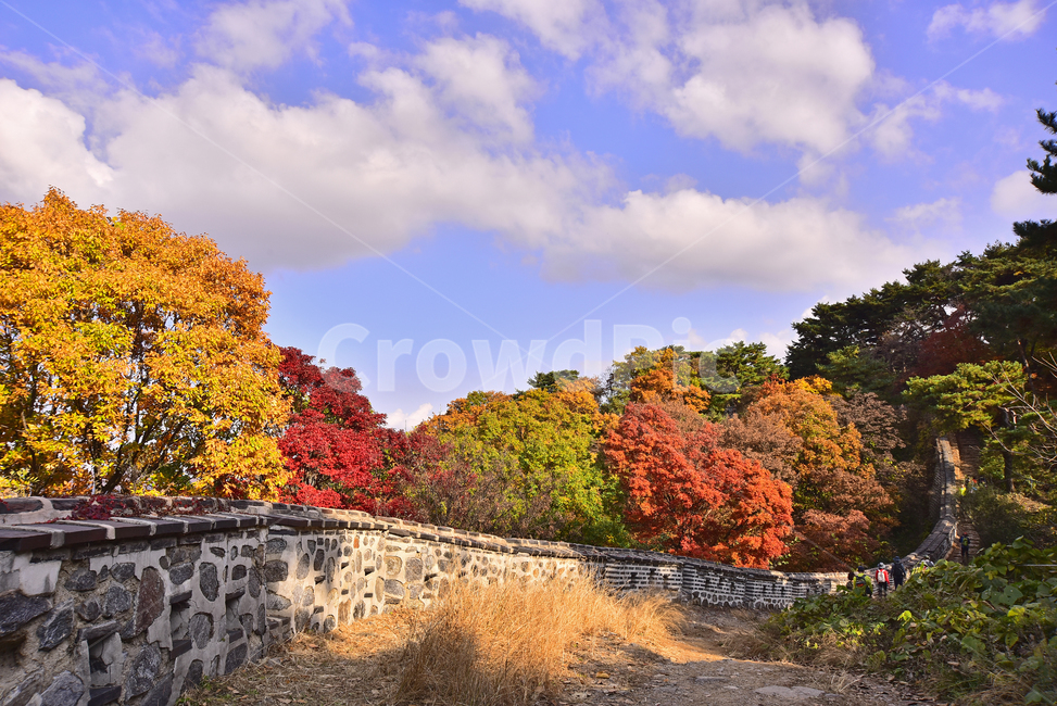 가을,가을풍경,남한산성,유네스코,세계문화유산,unesco,보존,축성,건축양식,koreantraditional,자연,한국전통,가을배경,fall,autumn,season,가을단풍,nature,성곽길,단풍나무,maple,outdoors,옥외,배경,바탕,백그라운드,background,시즌,계절,가을분위기,찬란한,colorful,architecture,건축물,building,건물,성벽,둘레길,산책로,돌담,leaf,식물,plant,나무,tree,단풍,가을,계절,fall,autumn,season,자연,풍경,nature,landscape,한국자연풍경,한국자연경관,korea nature landscape,잎