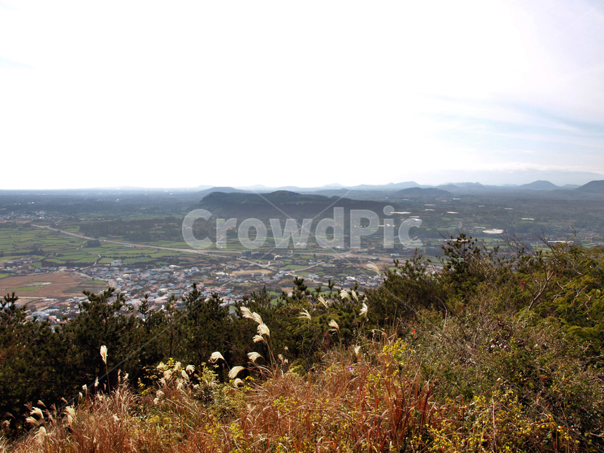 지미봉,올레21코스,올레,제주,올레길,오름,기생화산,제주도,jeju,jeju island,시골,마을,풍경,landscape,country,rural,town,nature,자연,outdoors,옥외