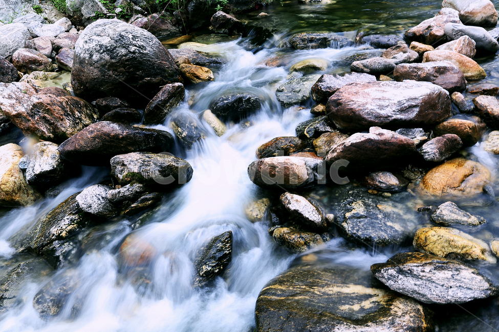 계곡,가평,여름,계곡물,무더위,시원함,여름,계절,summer,season,자연,풍경,nature,landscape,water,물,outdoors,옥외,stream,흐름